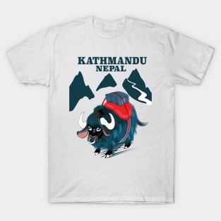 Kathmandu Nepal T-Shirt